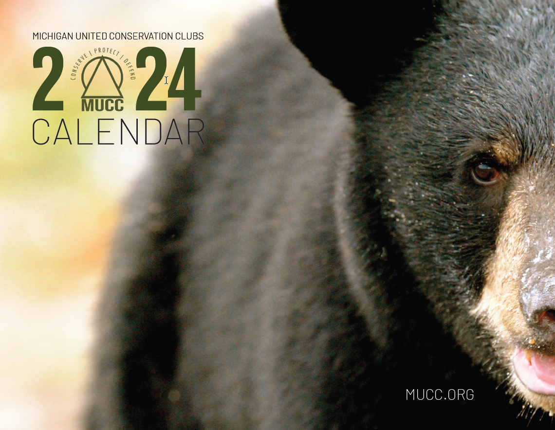 2024 Calendar