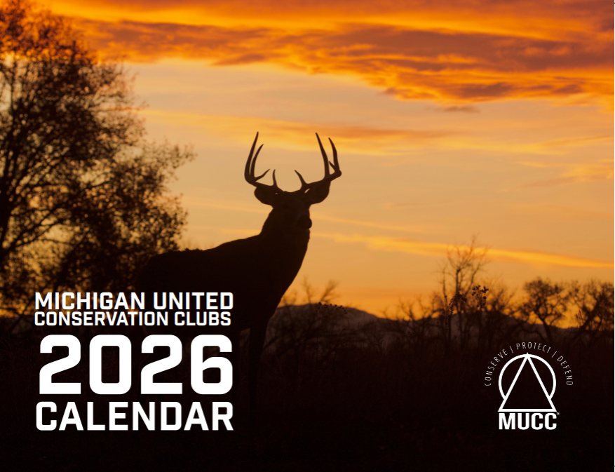 2026 Calendar